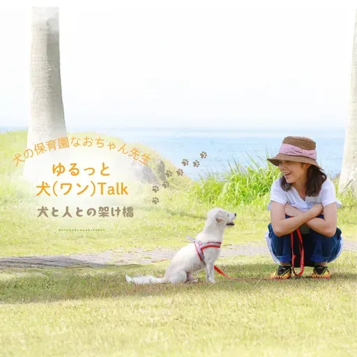 なぜ、本やネット情報だけで治らないの⁉️愛犬の問題行動💦#4問題行動