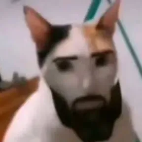El alfa
