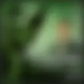 reforma.com - Futbol en voz de Roberto Gómez Junco