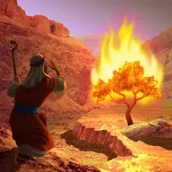 Who Is God