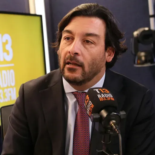 Diputado Leiva (PS) y reproche de Contraloría a exministra Steinert: "La respuesta del Ejecutivo no se hace cargo de la gravedad del problema"