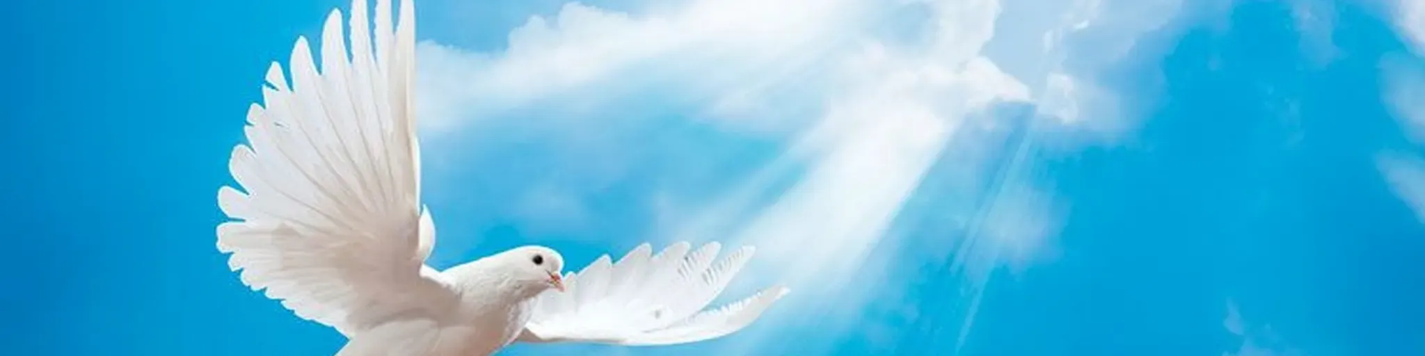 Fraternidade Espirita Marcelo Severo