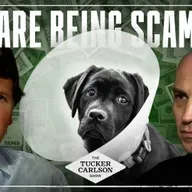 The Private Equity Veterinary Scam Making You Poorer and Killing Your Pets