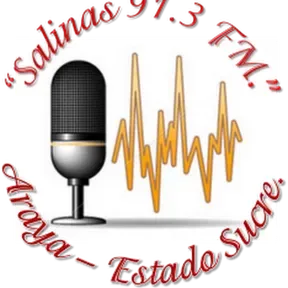 SALINAS 91.3FM DE ARAYA LA VOZ