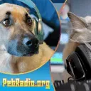 PetRadio Live
