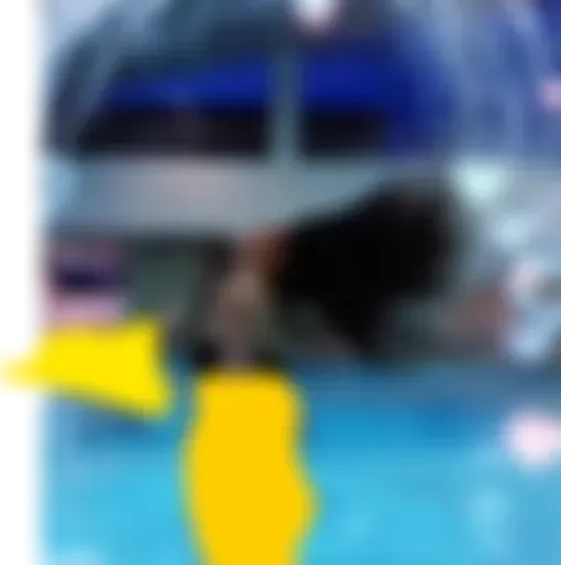 Programul de Protecție al Prințeselor podcast