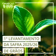 Primeiro levantamento da Conab aponta para uma colheita de 354,7 milhões de toneladas de grãos na safra 2025/26