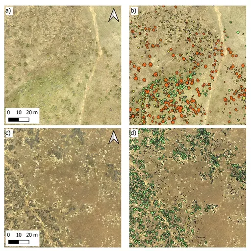 Ep. 544 - Helping Move the Needle on Sagebrush Restoration