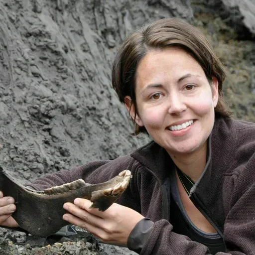 It's Boom Times In Ancient DNA