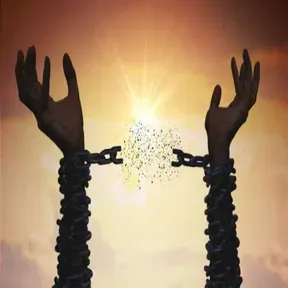 Divine Solution