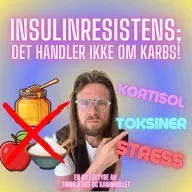 S2 Episode #11 – Insulinresistens forklart RIKTIG – Det handler ikke om sukker! / Fettforbrenning Del 6