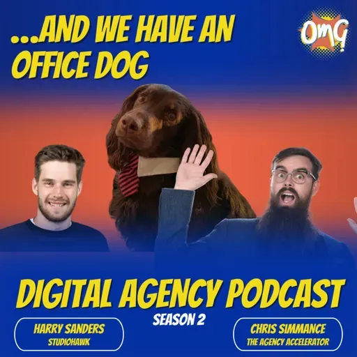 Episode 21 - Harry Sanders - Studiohawk