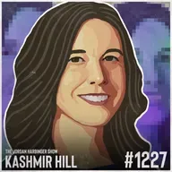 1227: Kashmir Hill | Is AI Manipulating Your Mental Health?