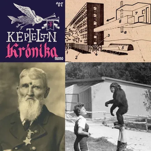 KK Nano #07 – A veszprémi csodamajom, a békásmegyeri házkígyó és az ember, akinek golyó volt a fejében
