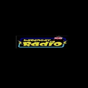 101.1 BARANGAY RADIO DIPOLOG