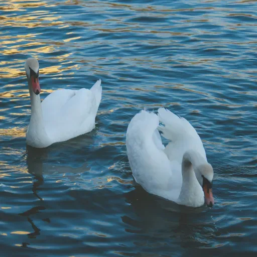 Наталья и Иван Долгоруковы