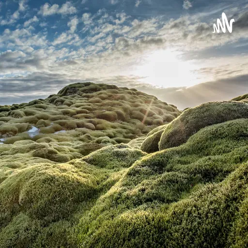 Hör zu! Mach mit. Ein Klima Podcast Folge 1