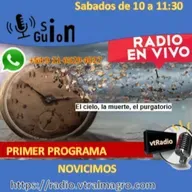 PROGRAMA 33 DE SIN GUION -