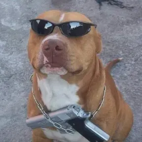 Aí meu cu