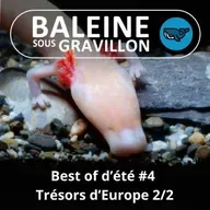BEST OF D'ÉTÉ #04 Trésors d'Europe 2/2 : Le Protée, un bébé dragon ?