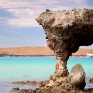 ¿Sabias que... 2026-01-27 13:05