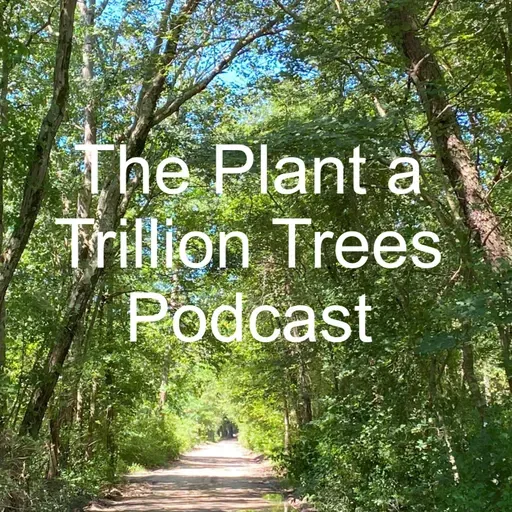 Episode 198 - Trinity Pierce is the Chicago Region Trees Initiative senior stewardship manager at The Morton Arboretum.
