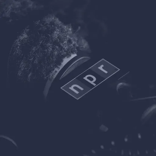 Welcome to the NPR Washington Desk