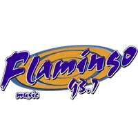 Flamingo Stereo en vivo