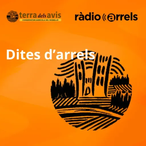 Dites d'Arrels - Qui no treballa pollí, treballarà rossí