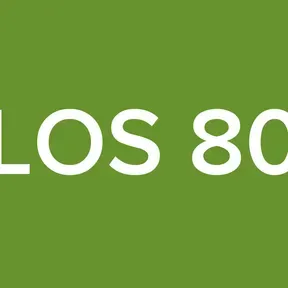 LOS 80