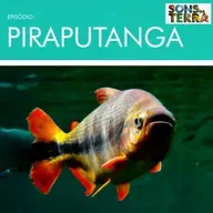 José Sabino: peixes, documentários e os benefícios do contato com a natureza