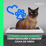 Episódio 77 - Liteira para gatos: como escolher a melhor e ensinar seu pet a usar!