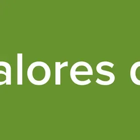 Los Grandes Valores del Baby Futbol