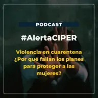 Capítulo 21 / Violencia en cuarentena ¿Por qué fallan los planes para proteger a las mujeres?