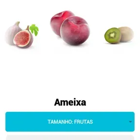 Adoradores de Cristo