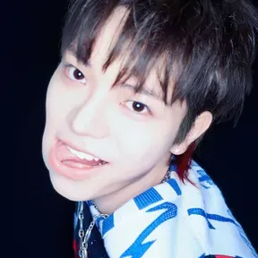 nyul gans