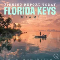 South Florida & Keys Fishing Report: Trout, Snapper, Sailfish Biting in Winter Conditions