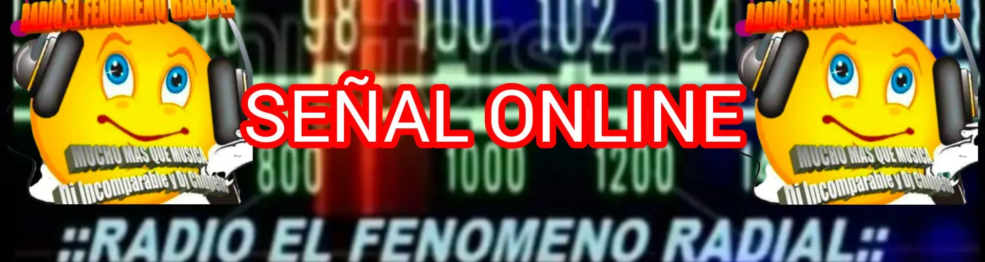 EL FENOMENO RADIAL