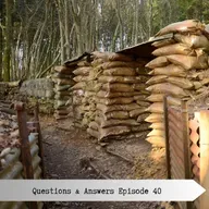 Questions and Answers Episode 40