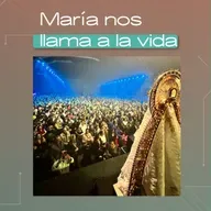 Entrevista al P. Javier Carbone, Salve! Acción Vocacional Rosario
