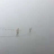 239. Beyond Fear: What It’s Really Trying to Tell You