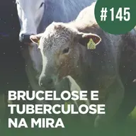 Brucelose e tuberculose na mira | Boletim no Rádio #145