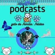 gato de Familia: Felidae