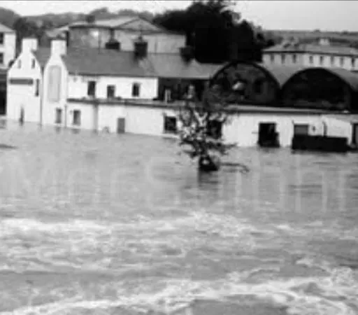Máire Uí Laoire: Ómós do Sheán Mac Suibhne