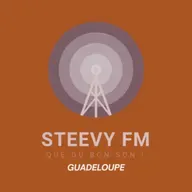 Le Programme TV - Steevy FM 2025-06-30 14:25