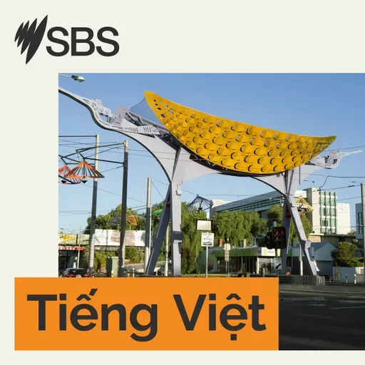 Gặp gỡ người Việt ở Úc: Trúc Quân