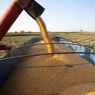 Brasil quiere convertirse en la potencia alimentaria mundial