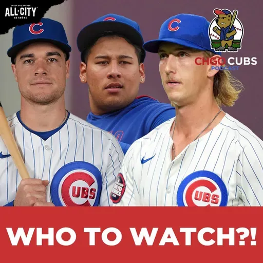 Best Young Chicago Cubs Players To Watch Right Now!