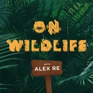 Spotted Hyenas with Lauren Arthur