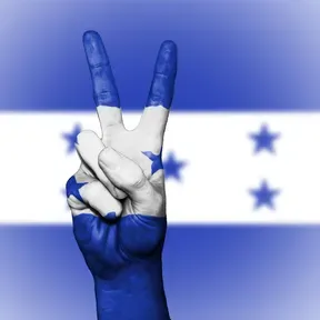 Music Flow Catracho